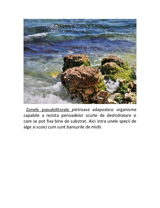 Ecosistemul Marii Negre