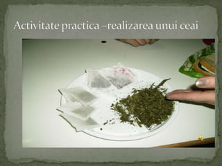 Proiect naitional