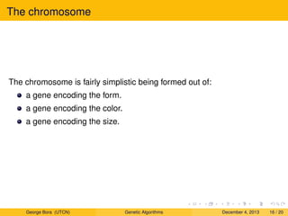 The chromosome
The chromosome is fairly simplistic being formed out of:
a gene encoding the form.
a gene encoding the color.
a gene encoding the size.
George Bora (UTCN) Genetic Algorithms December 4, 2013 16 / 20
 