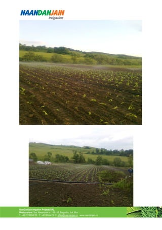 NaanDanJain Irrigation Projects SRL
Headquarters: Sos. Alexandriei nr. 116-118, Bragadiru, Jud. Ilfov
T: +40 21 369 40 55 F: +40 369 44 18 E: office@naandanjain.ro www.naandanjain.ro
 