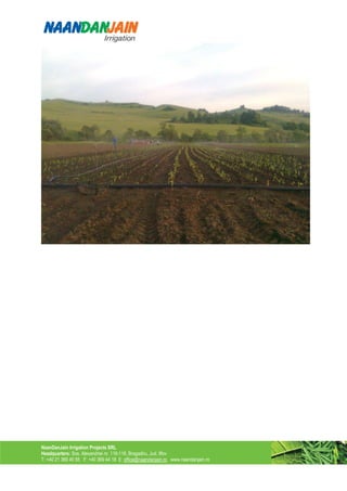 NaanDanJain Irrigation Projects SRL
Headquarters: Sos. Alexandriei nr. 116-118, Bragadiru, Jud. Ilfov
T: +40 21 369 40 55 F: +40 369 44 18 E: office@naandanjain.ro www.naandanjain.ro
 