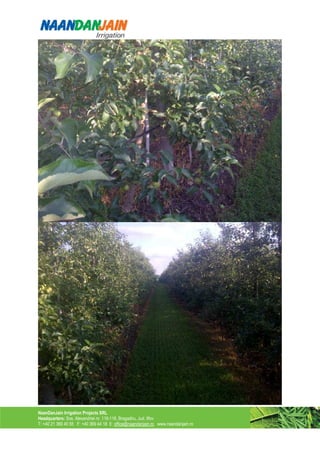 NaanDanJain Irrigation Projects SRL
Headquarters: Sos. Alexandriei nr. 116-118, Bragadiru, Jud. Ilfov
T: +40 21 369 40 55 F: +40 369 44 18 E: office@naandanjain.ro www.naandanjain.ro
 