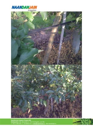 NaanDanJain Irrigation Projects SRL
Headquarters: Sos. Alexandriei nr. 116-118, Bragadiru, Jud. Ilfov
T: +40 21 369 40 55 F: +40 369 44 18 E: office@naandanjain.ro www.naandanjain.ro
 