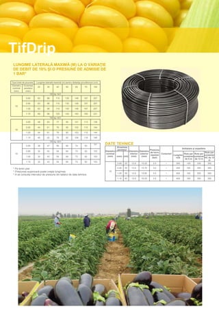 TifDrip
 LUNGIME LATERALĂ MAXIMĂ (M) LA O VARIAŢIE
 DE DEBIT DE 10% ŞI O PRESIUNE DE ADMISIE DE
 1 BAR*

Tipul liniei de picurare   Lungime laterală maximă (m) pentru distanţa picurătorului (cm)
Diametru Grosimea
                            20       30          40      50       60       70       100
 nominal      peretelui
  (mm)          (mm)
                                          TifDrip 16/1
                0.65        63       88         110      130     149       167      207

                0.90        63       88         110      130     149       167      207
   16
                1.00        63       88         110      130     149       167      207

                1.15        69       96         120      142     163       183      231
                                          TifDrip 16/1
                0.65        48       63          77      90      101       113      138

                0.90        44       61          76      90      103       115      144
   16
                1.00        44       61          76      90      103       115      144

                1.15        45       62          78      92      106       118      149
                                          TifDrip 16/1
                0.65        36       47          56      66       74       83
                                                                                    101     DATE TEHNICE
                                                                                                     Grosimea
                                                                                                                                                             Ambalare şi expediere
                                                                                                      peretelui                    Presiune
                0.90        32       43          54      64       73       82       103     Diametru            Diametru Diametru
                                                                                                                                   de lucru                                       Role per
   16                                                                                       nominal              interior exterior          Conectori         Role per Role per
                                                                                                                                   maximă             Lungime                     container
                1.00        32       43          54      64       73       82       103       (mm)   (mm) (mil) (mm)       (mm)                               container container
                                                                                                                                     (bar)              rolă                      HC de 12
                                                                                                                                                               de 6 m de 12 m
                                                                                                                                                                                     m
                1.15        32       43          54      64       73       82       103
                                                                                                      0.65 25      13.9    15.20      2.0      •        500     145        330      350

 * Pe teren plat                                                                                      0.90   35   13.9     15.70     3.0        •        400      165      350       395
 * Presiunea superioară poate creşte lungimea                                                  16
                                                                                                      1.00   39   13.9     15.90     3.5        •        400      165      350       395
 * A se consulta intervalul de presiune din tabelul de date tehnice.
                                                                                                      1.15   45   13.9     16.20     3.5        •        400      165      350       395
 