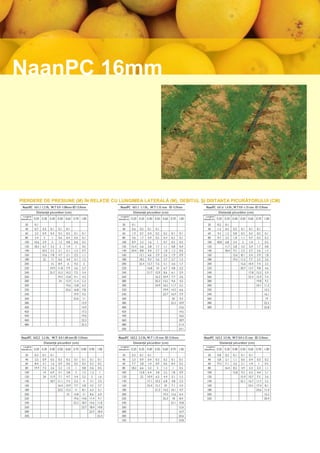 NaanPC 16mm




PIERDERE DE PRESIUNE (M) ÎN RELAŢIE CU LUNGIMEA LATERALĂ (M), DEBITUL ŞI DISTANŢA PICURĂTORULUI (CM)

               Distanţă picurător (cm)                      Distanţă picurător (cm)                  Distanţă picurător (cm)
  Lungime                                      Lungime                                  Lungime
laterală (m)                                 laterală (m)                             laterală (m)




                   Distanţă picurător (cm)                  Distanţă picurător (cm)                  Distanţă picurător (cm)
  Lungime                                      Lungime                                  Lungime
laterală (m)                                 laterală (m)                             laterală (m)
 