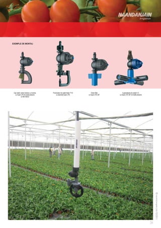 EXEMPLE DE MONTAJ




 Cap rotativ verde modular cu inversie,   Pulverizator de ceaţă Hadar 7110       Green Mist          4 generatoare de ceaţă în X,
   cu Super LPD de joasă presiune              cu baionetă Super LPD         cu Super LPD 3/8”   cu Super LPD 3/8” de înaltă presiune
             cu filet interior
 