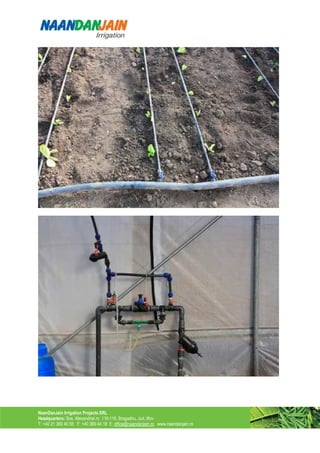 NaanDanJain Irrigation Projects SRL
Headquarters: Sos. Alexandriei nr. 116-118, Bragadiru, Jud. Ilfov
T: +40 21 369 40 55 F: +40 369 44 18 E: office@naandanjain.ro www.naandanjain.ro
 