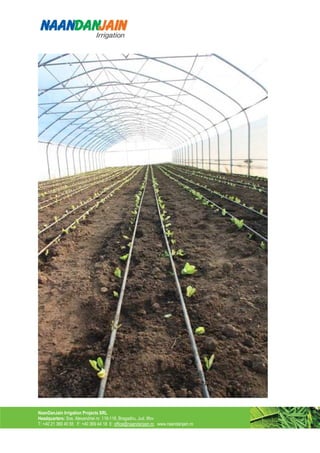NaanDanJain Irrigation Projects SRL
Headquarters: Sos. Alexandriei nr. 116-118, Bragadiru, Jud. Ilfov
T: +40 21 369 40 55 F: +40 369 44 18 E: office@naandanjain.ro www.naandanjain.ro
 