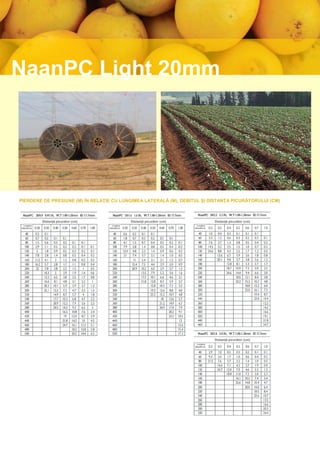 NaanPC Light 20mm




PIERDERE DE PRESIUNE (M) ÎN RELAŢIE CU LUNGIMEA LATERALĂ (M), DEBITUL ŞI DISTANŢA PICURĂTORULUI (CM)



               Distanţă picurător (cm)                  Distanţă picurător (cm)                  Distanţă picurător (cm)
  Lungime                                  Lungime                                  Lungime
laterală (m)                             laterală (m)                             laterală (m)




                                                                                                 Distanţă picurător (cm)
                                                                                    Lungime
                                                                                  laterală (m)
 