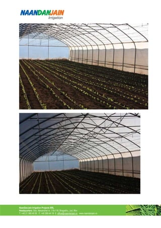 NaanDanJain Irrigation Projects SRL
Headquarters: Sos. Alexandriei nr. 116-118, Bragadiru, Jud. Ilfov
T: +40 21 369 40 55 F: +40 369 44 18 E: office@naandanjain.ro www.naandanjain.ro
 