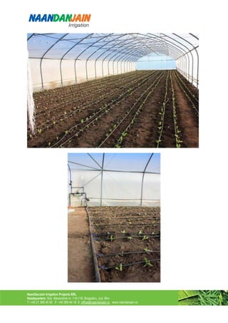 NaanDanJain Irrigation Projects SRL
Headquarters: Sos. Alexandriei nr. 116-118, Bragadiru, Jud. Ilfov
T: +40 21 369 40 55 F: +40 369 44 18 E: office@naandanjain.ro www.naandanjain.ro
 