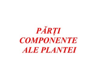PĂRŢI
COMPONENTE
ALE PLANTEI
 