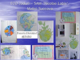ECO coduri – SAM “Nicolae Labis”,
                          Labis”
        Malini-Suceava
        Malini-
 