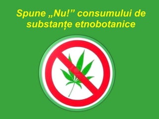 Spune „Nu!” consumului de substanţe etnobotanice 