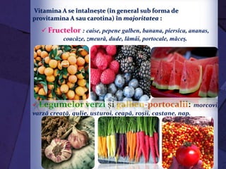 Surse de vitamina AVitamina A se întalneşte (în general sub forma de
provitamina A sau carotina) în majoritatea :
 Fructelor : caise, pepene galben, banana, piersica, ananas,
coacăze, zmeură, dude, lămâi, portocale, măceş.
 Legumelor verzi şi galben-portocalii: morcovi,
varză creaţă, gulie, usturoi, ceapă, roşii, castane, nap.
 