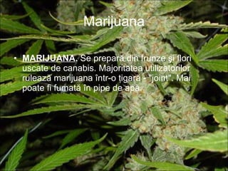 Marijuana MARIJUANA .  Se prepară din frunze şi flori uscate de canabis. Majoritatea utilizatorilor rulează marijuana într-o ţigară - "joint". Mai poate fi fumată în pipe de apă. 