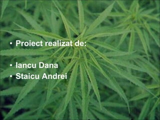 Proiect realizat de:  Iancu Dana Staicu Andrei 