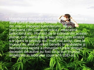 Majoritatea drogurilor sunt de origine vegetală şi sunt cunoscute din antichitate : opium (extras din mac – Papaver somniferum), haşiş, marijuana (din Canabis indica), mescalina, psilocibină etc.  Pornind de la extrase din aceste plante, prin semisinteză sau direct prin sinteză s-a ajuns la produşi noi, mult mai activi, care la început au avut un efect benefic în anestezie şi dezvoltarea rapidă a chirurgiei. Unele droguri deosebit de active au fost de la bun început sintetizate în laborator (cum ar fi LSD-ul). 