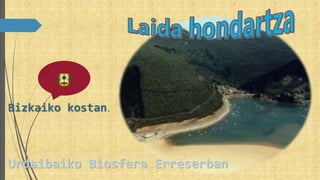 Bizkaiko kostan.
Urdaibaiko Biosfera Erreserban
 