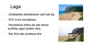 Laga
 Urdaibaiko biosferaren zati bat da.
 574 m-ko hondartza.
 Hondartza irekia da eta beraz
surfista ugari joaten dira.
 Are fina eta urretsua ere.
 