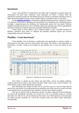 Noelei Carandina Página 137
Introdução
O que é uma planilha? É simplesmente uma folha onde é registrado um grande número de
informações, boa parte delas numéricas, numa disposição em linhas e colunas. Parte das
informações numéricas podem ter sido obtidas através de cálculos ou operações específicas sobre os
dados da própria planilha, havendo, assim, relações lógicas e aritméticas entre os seus dados.
Já uma planilha eletrônica é a ferramenta computacional que processa e registra os cálculos
e as operações necessárias à montagem de uma planilha. Essa ferramenta provê facilidades para a
resolução e equacionamento dos problemas ali representados através dos seus dados. Podemos
simplificar dizendo que devemos usar as planilhas sempre que tenhamos que realizar repetidamente
operações aritméticas ou lógicas sobre uma quantidade significativa de dados.
Vamos direto ao nosso objetivo, que é conhecer melhor o Calc, a planilha eletrônica do
BrOffice. Falaremos mais sobre as vantagens das planilhas eletrônicas depois que tivermos
compreendido como elas funcionam.
Planilhas - Como funcionam?
Numa planilha, como já dissemos, as informações são organizadas em colunas e linhas. A
intersecção de uma linha com uma coluna define uma célula. Nas células é onde registramos as
informações, ou dados. Vejamos um exemplo de uma planilha com as notas dos alunos de uma
turma.
Figura 8.1- Planilha de notas dos alunos
Uma célula é a junção de uma coluna com uma linha e possui seu próprio endereço,
composto pela letra da coluna e pelo número da linha. Então, observe que a nota do Projeto 1 do
aluno Fabiano ocupa a célula identificada como D10.
Que informação está contida na célula F9? Se você disse que era a nota do artigo final da
aluna Clara, está correto! Esse endereçamento que identifica uma célula a partir da coluna e da linha
é um elemento chave na organização deste ambiente. Veremos mais adiante o porquê.
Note que as colunas estão na disposição vertical e as linhas organizam-se horizontalmente.
As colunas são inicialmente marcadas com as letras de A até Z, em seguida começa-se a utilizar
duas letras AA, AB, AC etc, até um máximo de 256 colunas. Já as linhas aparecem com numeração
em ordem crescente iniciando em 1 até 65.536. Perceba, então, que cabem muitas informações
numa planilha.
 
