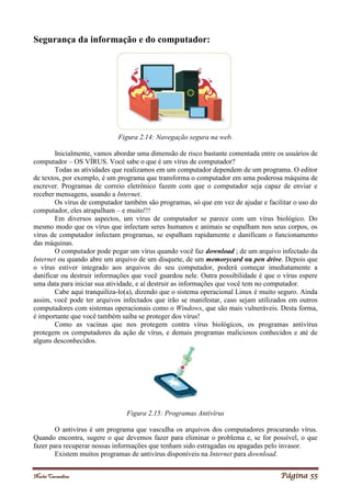 Noelei Carandina Página 55
Segurança da informação e do computador:
Figura 2.14: Navegação segura na web.
Inicialmente, vamos abordar uma dimensão de risco bastante comentada entre os usuários de
computador – OS VÍRUS. Você sabe o que é um vírus de computador?
Todas as atividades que realizamos em um computador dependem de um programa. O editor
de textos, por exemplo, é um programa que transforma o computador em uma poderosa máquina de
escrever. Programas de correio eletrônico fazem com que o computador seja capaz de enviar e
receber mensagens, usando a Internet.
Os vírus de computador também são programas, só que em vez de ajudar e facilitar o uso do
computador, eles atrapalham – e muito!!!
Em diversos aspectos, um vírus de computador se parece com um vírus biológico. Do
mesmo modo que os vírus que infectam seres humanos e animais se espalham nos seus corpos, os
vírus de computador infectam programas, se espalham rapidamente e danificam o funcionamento
das máquinas.
O computador pode pegar um vírus quando você faz download ; de um arquivo infectado da
Internet ou quando abre um arquivo de um disquete, de um memorycard ou pen drive. Depois que
o vírus estiver integrado aos arquivos do seu computador, poderá começar imediatamente a
danificar ou destruir informações que você guardou nele. Outra possibilidade é que o vírus espere
uma data para iniciar sua atividade, e aí destruir as informações que você tem no computador.
Cabe aqui tranquiliza-lo(a), dizendo que o sistema operacional Linux é muito seguro. Ainda
assim, você pode ter arquivos infectados que irão se manifestar, caso sejam utilizados em outros
computadores com sistemas operacionais como o Windows, que são mais vulneráveis. Desta forma,
é importante que você também saiba se proteger dos vírus!
Como as vacinas que nos protegem contra vírus biológicos, os programas antivírus
protegem os computadores da ação de vírus, e demais programas maliciosos conhecidos e até de
alguns desconhecidos.
Figura 2.15: Programas Antivírus
O antivírus é um programa que vasculha os arquivos dos computadores procurando vírus.
Quando encontra, sugere o que devemos fazer para eliminar o problema e, se for possível, o que
fazer para recuperar nossas informações que tenham sido estragadas ou apagadas pelo invasor.
Existem muitos programas de antivírus disponíveis na Internet para download.
 