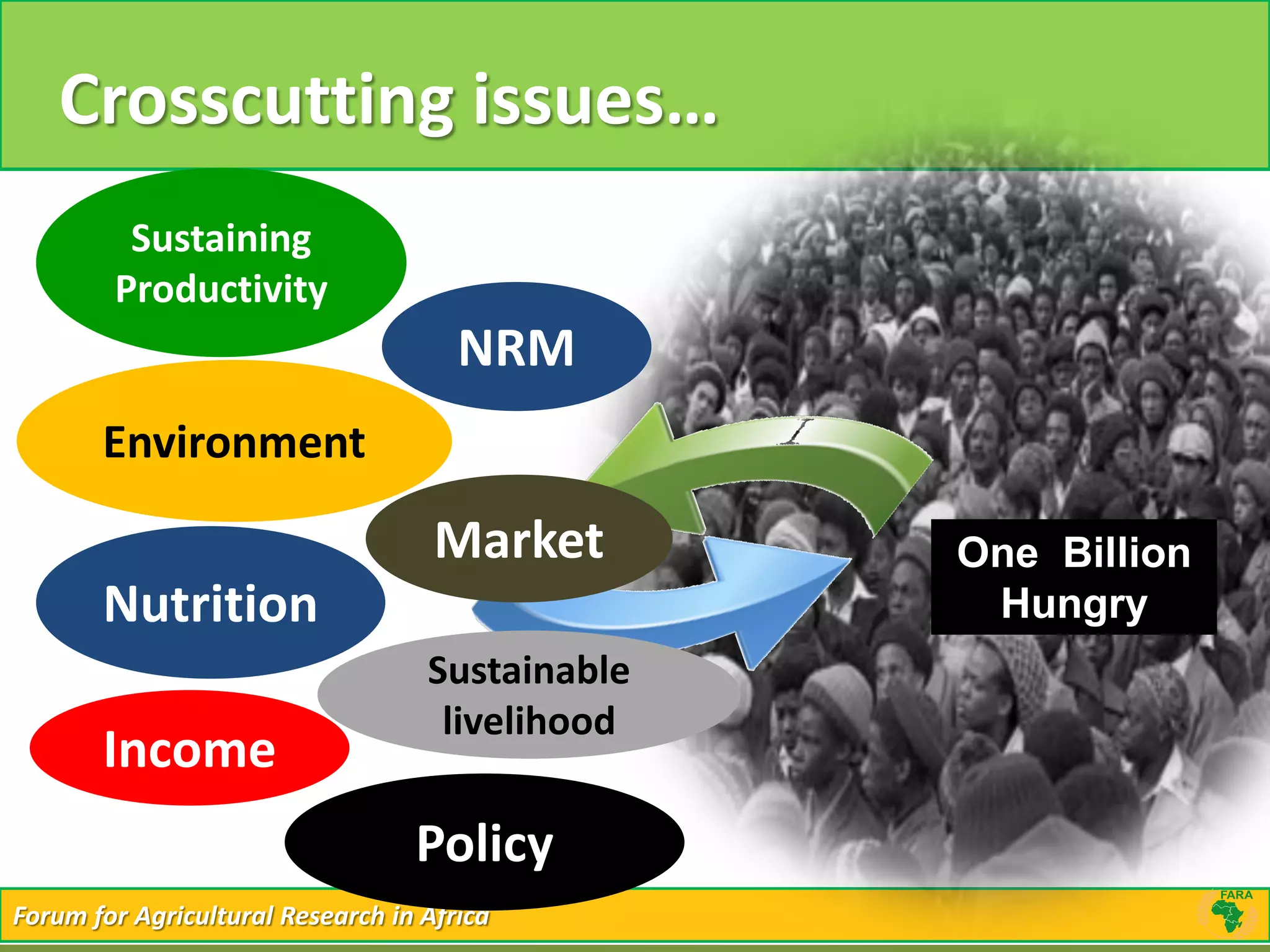 Forum for Agricultural Research in AfricaForum for Agricultural Research in Africa
Crosscutting issues…
NRM
Sustaining
Productivity
Market
Policy
Income
Nutrition
Environment
Sustainable
livelihood
One Billion
Hungry
 