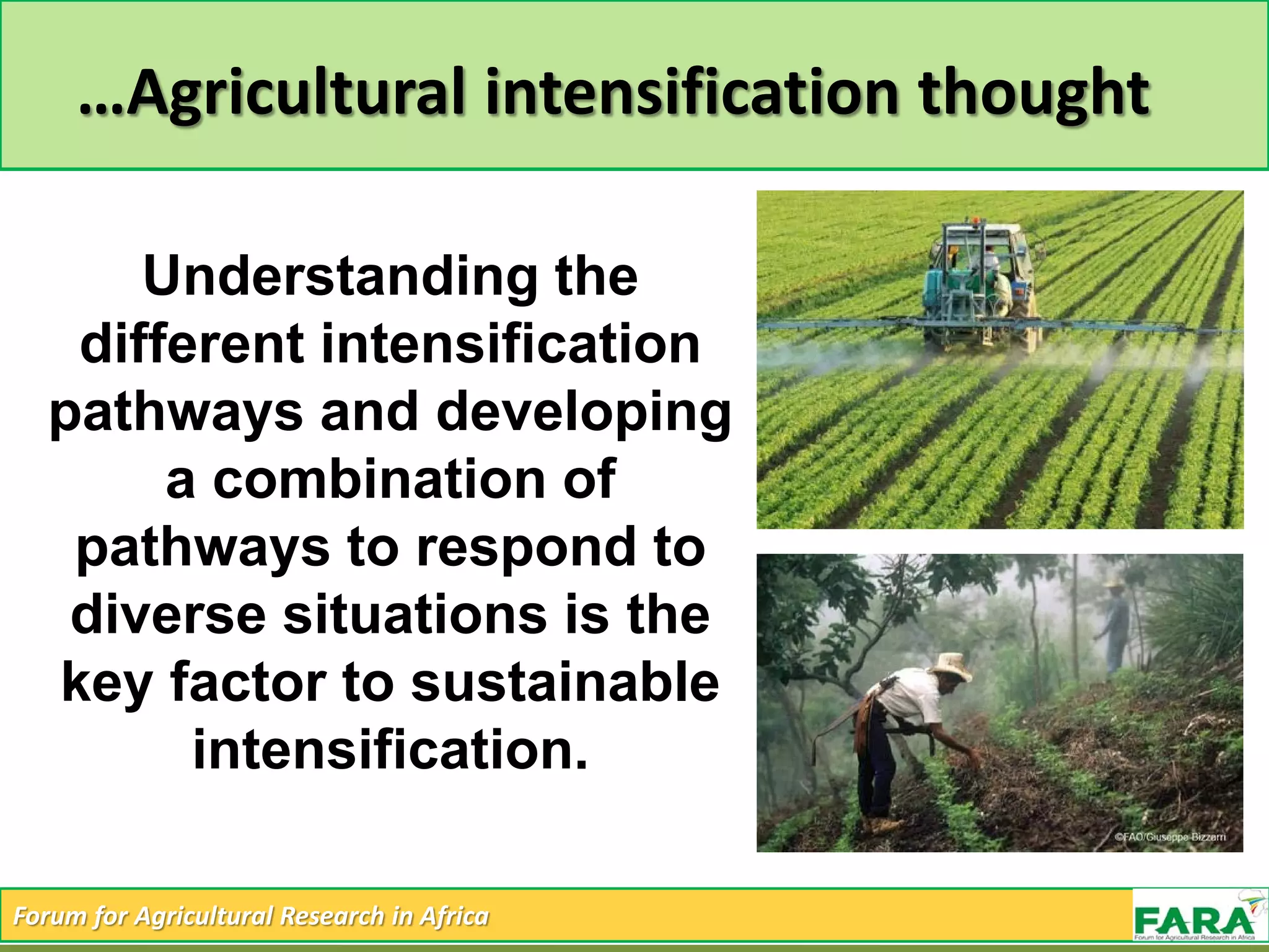 Forum for Agricultural Research in Africa
…Agricultural intensification thought
Understanding the
different intensification
pathways and developing
a combination of
pathways to respond to
diverse situations is the
key factor to sustainable
intensification.
 