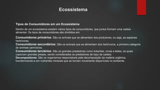 Ecossistema
Tipos de Consumidores em um Ecossistema
Dentro de um ecossistema existem vários tipos de consumidores, que juntos formam uma cadeia
alimentar. Os tipos de consumidores são divididos em:
Consumidores primários: São os animais que se alimentam dos produtores, ou seja, as espécies
herbívoras;
Consumidores secundários: São os animais que se alimentam dos herbívoros, a primeira categoria
de animais carnívoros;
Consumidores terciários: São os grandes predadores como tubarões, orcas e leões, os quais
capturam grandes presas, sendo considerados os predadores de topo de cadeia;
Decompositores: São os organismos responsáveis pela decomposição da matéria orgânica,
transformando-a em nutrientes minerais que se tornam novamente disponíveis no ambiente.
 