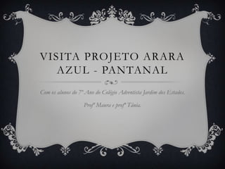 Fotos Projeto Arara Azul - Pantanal!