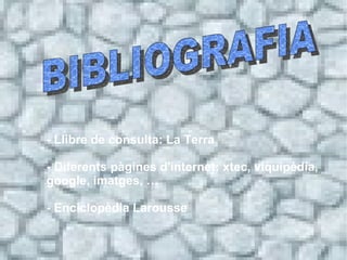 BIBLIOGRAFIA  - Llibre de consulta: La Terra - Diferents pàgines d'internet: xtec, viquipèdia, google, imatges, … - Enciclopèdia Larousse 