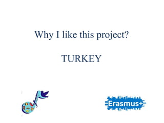 Why I like this project?
TURKEY
 