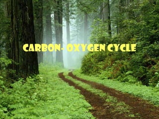Carbon- Oxygen Cycle 