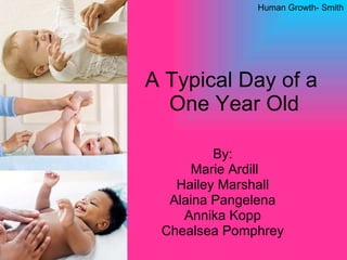 A Typical Day of a  One Year Old By: Marie Ardill Hailey Marshall Alaina Pangelena Annika Kopp Chealsea Pomphrey Human Growth- Smith 