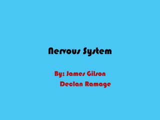 Nervous System By: James Gilson Declan Ramage 