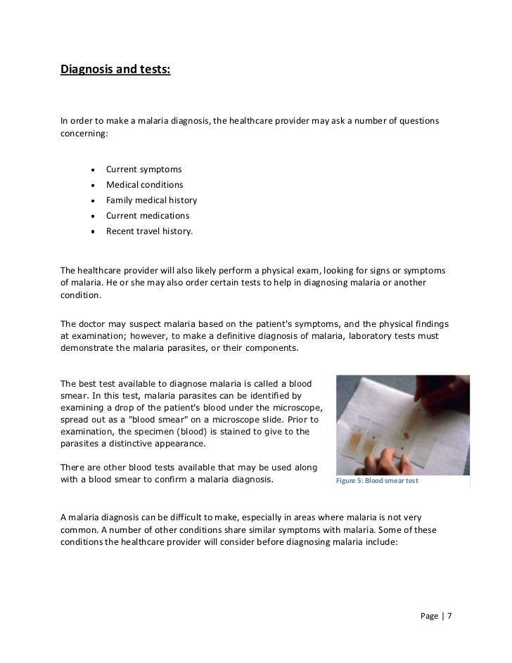 Malaria essay