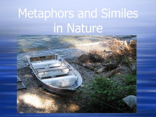Metaphors and Similes in Nature 