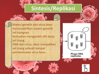 Sel Inang multimedia interaktif replikasi virus | PPTX