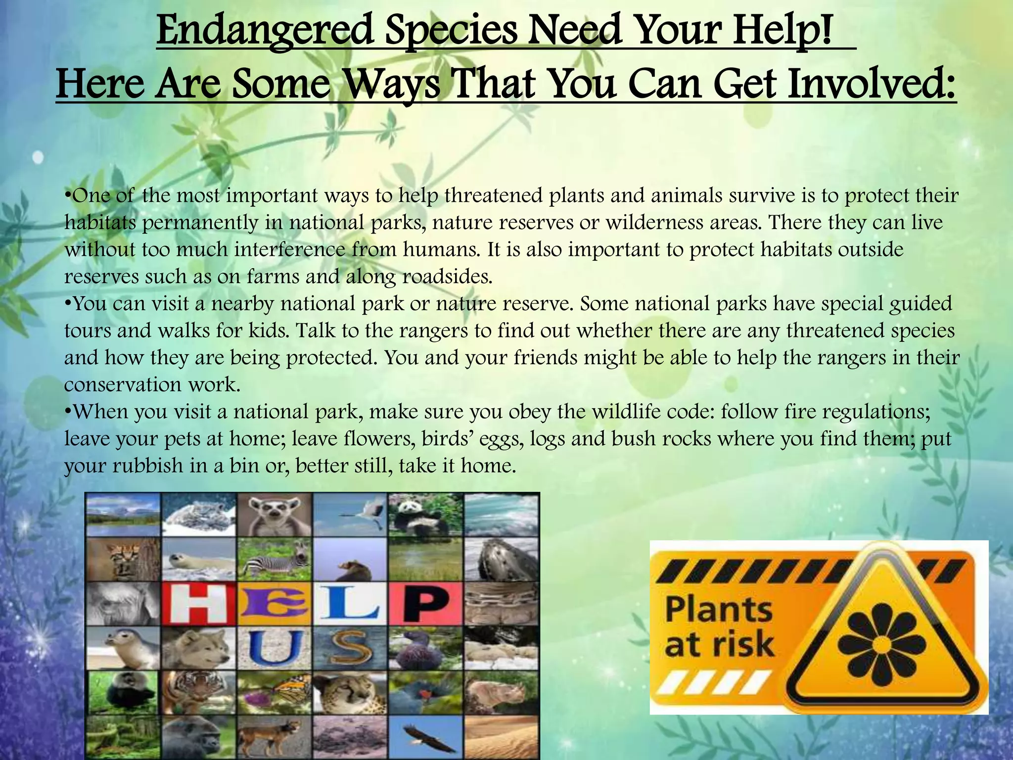 Endangered and Threatened Plants and Animals | PPTX