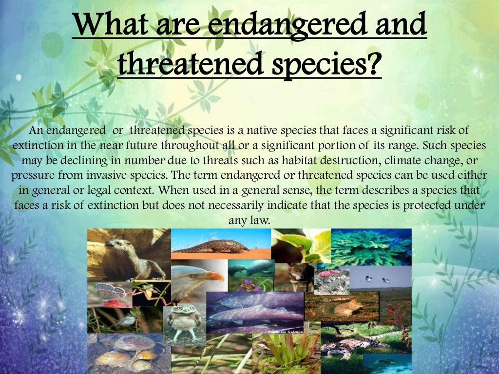Endangered and Threatened Plants and Animals