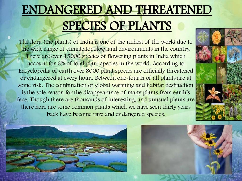 Endangered and Threatened Plants and Animals