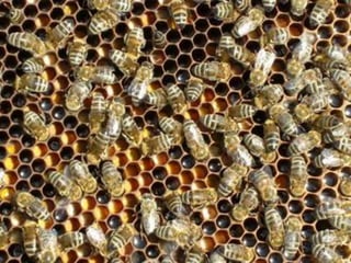 Σηελ θαηλνκεληθή ηπραηόηεηα ηνπ θπζηθνύ θ

 