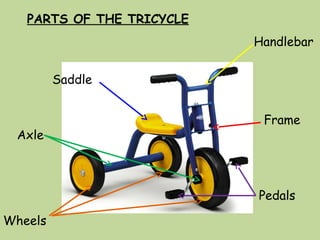 PARTS OF THE TRICYCLE
Handlebar
Axle
Saddle
Wheels
Frame
Pedals