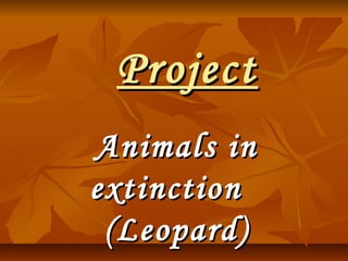 ProjectProject
Animals inAnimals in
extinctionextinction
(Leopard)(Leopard)
 