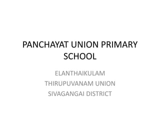 PANCHAYAT UNION PRIMARY 
SCHOOL 
ELANTHAIKULAM 
THIRUPUVANAM UNION 
SIVAGANGAI DISTRICT 
 