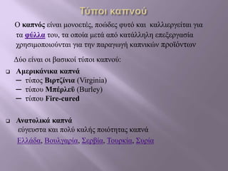 Ο καπνός είναι μονοετές, ποώδες φυτό και καλλιεργείται για
τα φύλλα του, τα οποία μετά από κατάλληλη επεξεργασία
χρησιμοποιούνται για την παραγωγή καπνικών προϊόντων
Δύο είναι οι βασικοί τύποι καπνού:
 Αμερικάνικα καπνά
─ τύπος Βιρτζίνια (Virginia)
─ τύπου Μπέρλεϋ (Burley)
─ τύπου Fire-cured
 Ανατολικά καπνά
εύγευστα και πολύ καλής ποιότητας καπνά
Ελλάδα, Βουλγαρία, Σερβία, Τουρκία, Συρία
 