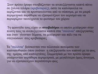 Στον πρώτο όροφο στοιβάζονταν τα ανεπεξέργαστα καπνά πάνω
σε ξύλινα τελάρα (κρεβαταριές), ώστε τα καπνόφυλλα να
αερίζονται και να προστατεύονται από το σάπισμα, με τα μικρά
περιμετρικά παράθυρα να εξασφαλίζουν τον αερισμό και να
περιορίζουν ταυτόχρονα το φωτισμό του χώρου
Τη φροντίδα τους είχαν οι στοιβαδόροι οι οποίοι μετέφεραν στην
πλάτη τους τα ανεπεξέργαστα καπνά στα "σαλόνια" επεξεργασίας
και όταν γίνονταν δέματα, τα μετέφεραν και πάλι για να
στεγνώσουν στις κρεβαταριές
Τα "σαλόνια" βρίσκονταν στα τελευταία πατώματα των
καπναποθηκών όπου γινόταν η επεξεργασία του καπνού με το φως
της ημέρας από καπνεργάτες. Συμμετρικά με τον πρώτο όροφο
φτιάχνονταν παράθυρα περιμετρικά, με μεγαλύτερο όμως άνοιγμα,
για να εξασφαλίζουν περισσότερο φως
 