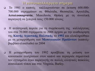  Το 1981 o καπνός καλλιεργούνταν σε έκταση 600.000-
700.000 στρεμμάτων σε Φθιώτιδα, Θεσσαλία, Αργολίδα,
Αιτωλοακαρνανία, Μακεδονία, Θράκη με τη συνολική
παραγωγή να ξεπερνά τους 150.000 τόνους
 Η αντίστροφή πορεία για τη συρρίκνωση της καλλιέργειας
του στα 70.000 στρέμματα το 2006 άρχισε με την αναθεώρηση
της Κοινής Αγροτικής Πολιτικής το 1992 και ολοκληρώθηκε
με τη μεταρρύθμιση των Μεσογειακών Προϊόντων (καπνός-
βαμβάκι-ελαιόλαδο) το 2004
 Η μεταρρύθμιση του 1992 προέβλεπε τη μείωση των
κοινοτικών ενισχύσεων στον καπνό και περιόρισε σημαντικά
τον εγγυημένο όγκο παραγωγής σε πολλές ελληνικές ποικιλίες
ανατολικού τύπου και στα Virginia, Burley.
 