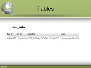 Tables
Fwm_info
 