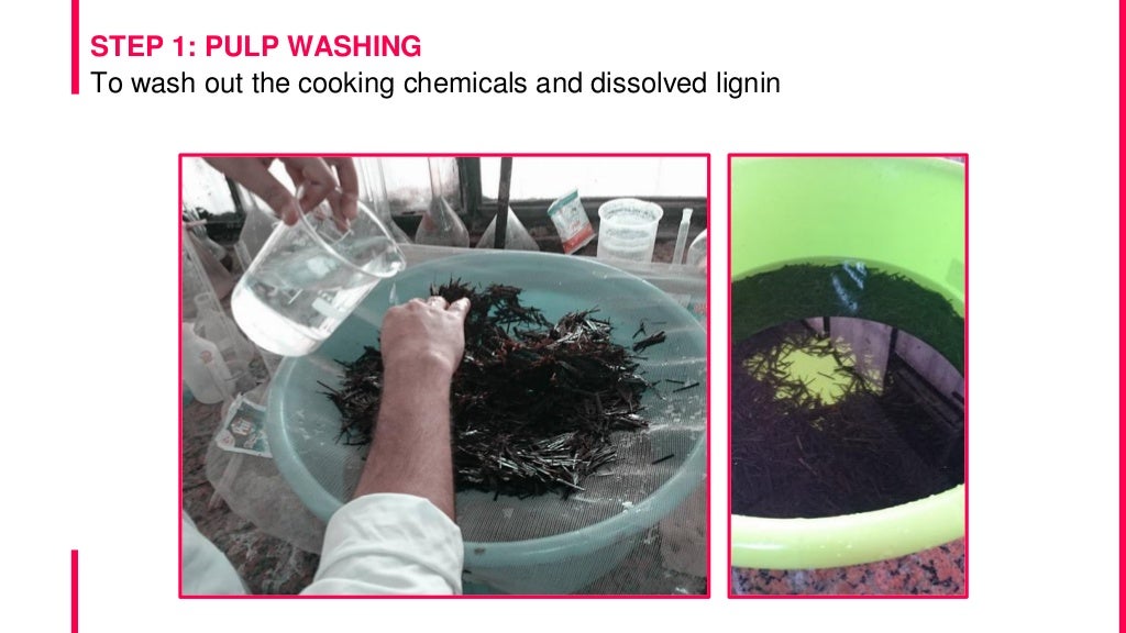 NEW RAW MATERIALS FOR PAPER PULP